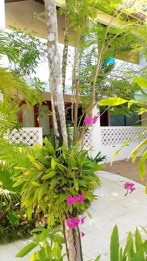 Idle Awhile Beach Hotel Negril Jamaica